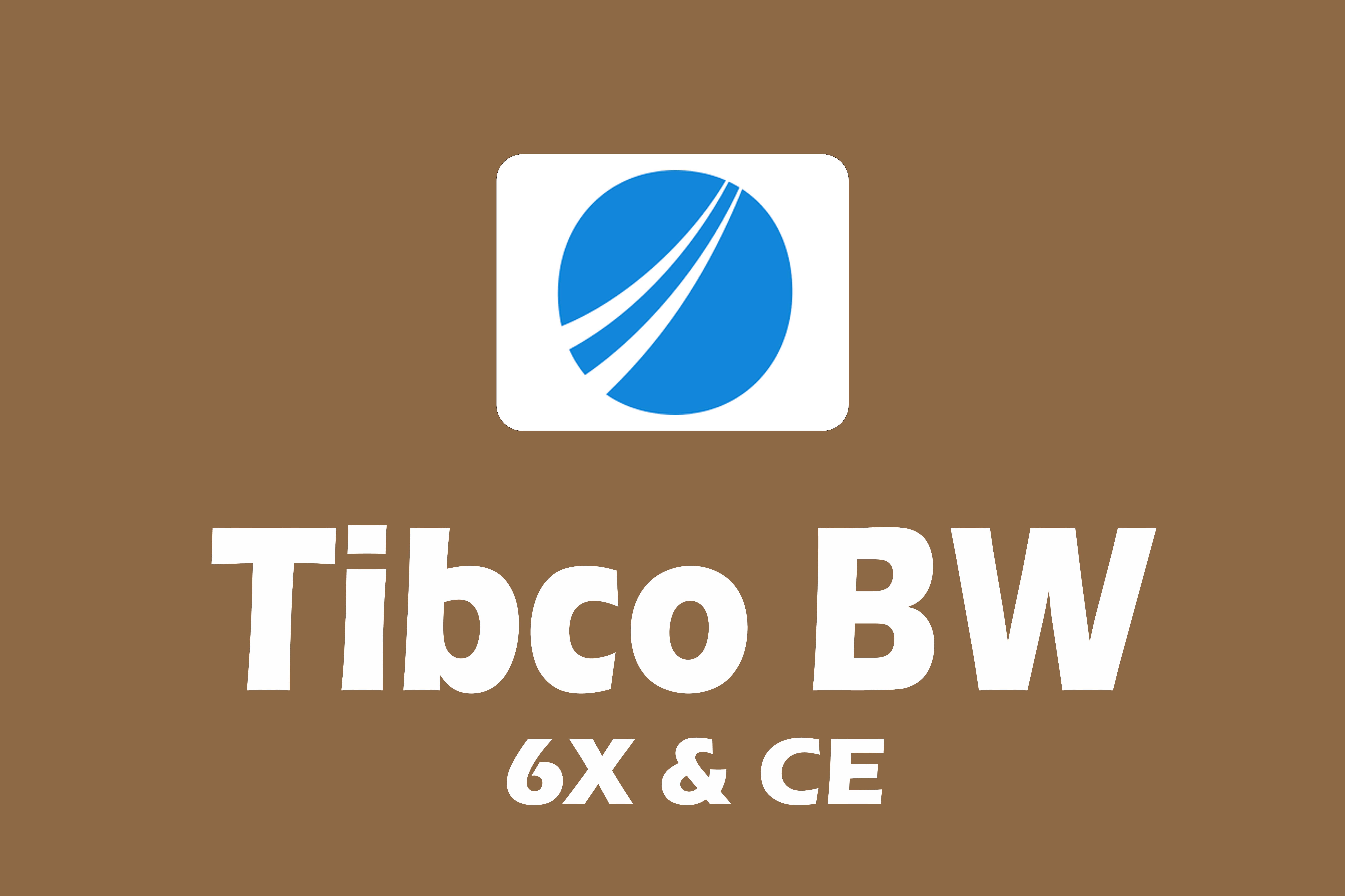 TIBCO BW 6X Training